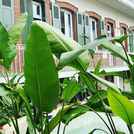 Appt Ambiance Chalet 2Ch Piscine Lagon Apartment Tarbes Ngoại thất bức ảnh