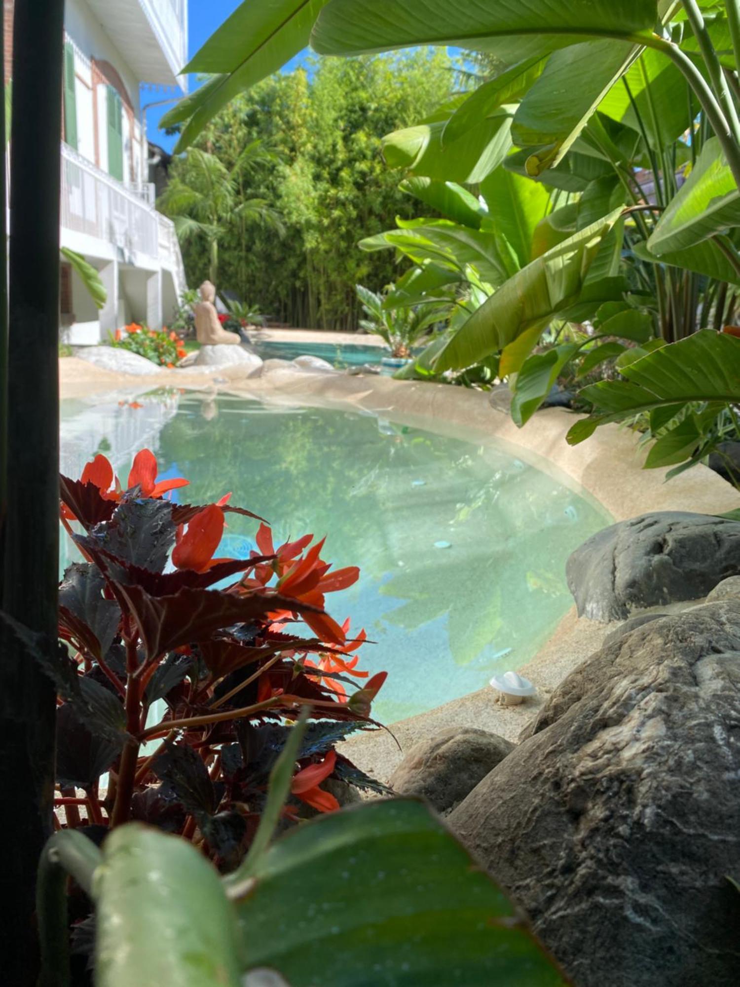 Appt Ambiance Chalet 2Ch Piscine Lagon Apartment Tarbes Ngoại thất bức ảnh